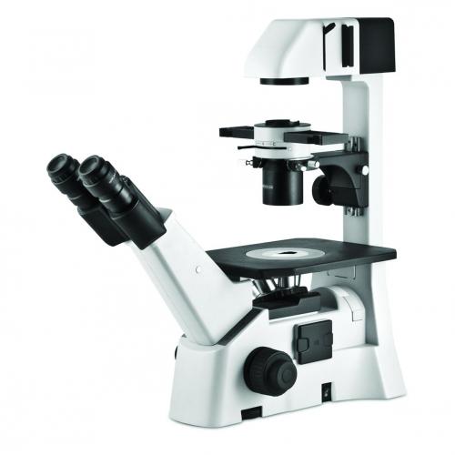 Five Reasons to Use Inverted Microscopes over Regular Microscopes
